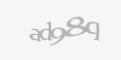 Código de segurança