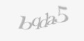 Código de segurança