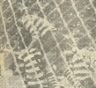1979-80_52