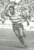 1981-82_17