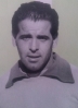 Carvalho