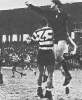Carvalho_02