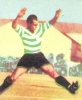 Rui Araújo_01