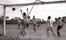 1931-1940