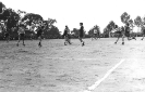 1976-77_29