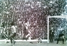 1976-77_81