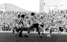 1977-78_48