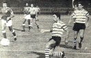 1981-82