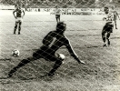 1982-83_052