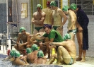 Polo_2011