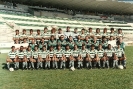 1981-1990